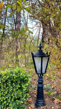 Parktaki sokak lambası. Antika ve bahçe lambasının eşsiz şekli. Sonbahar manzarasının arka planında dövülmüş zemin lambası