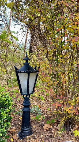 Parktaki sokak lambası. Antika ve bahçe lambasının eşsiz şekli. Sonbahar manzarasının arka planında dövülmüş zemin lambası