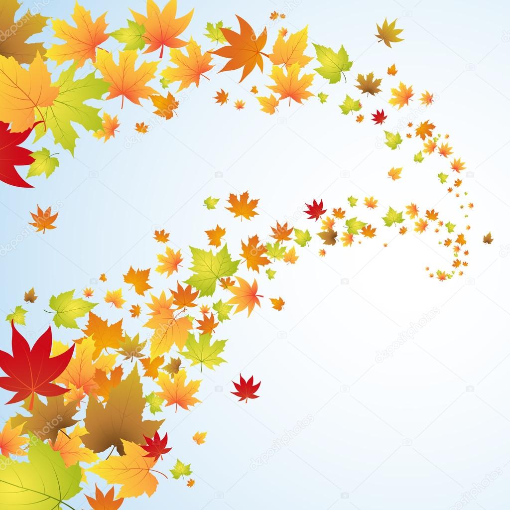 Autumn background with colorful leaves in the sky