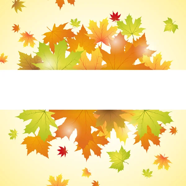 Autumn leaves background with text space — Stock Vector