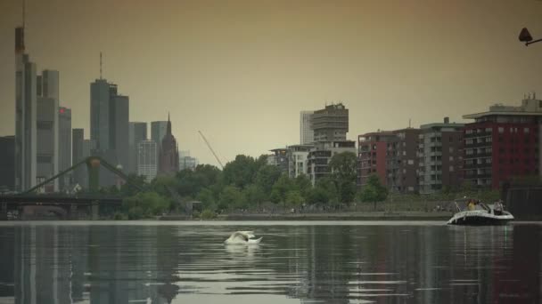 Frankfurt Circa 2019 Bankgebouwen Main Frankfurt Main Duitsland Frankfurt Een — Stockvideo