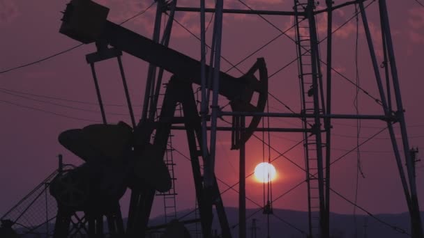 Silhouettes Oil Wells Pumping Sunset — Stock Video