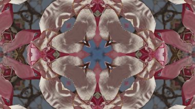 Doğal bahar çiçeğinden kaleydoskop deseni