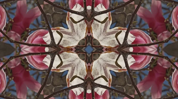 Kaléidoscope Modèle Fleur Naturelle Printemps — Photo