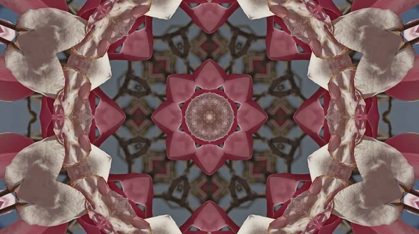 Kaleidoskop Vzor Přirozené Jarní Květiny Stock Snímky