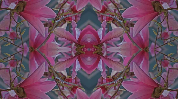 Kaleidoskop Vzor Přirozené Jarní Květiny Stock Fotografie