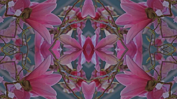 Kaleidoscope Pattern Natural Spring Flower Stock Picture