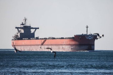 11-11-2021 İstanbul-Türkiye: Yakınlarda Uçan Martılarla Açık Deniz 'de Büyük Kargo Gemisi