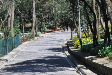 Parkın güzel manzarası