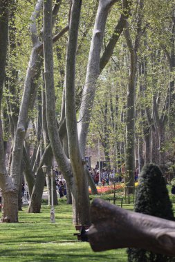 Parkın güzel manzarası