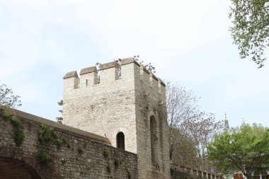 20-01-2024 İstanbul Türkiye: Padua Kilisesi 'ndeki Aziz Anthony içinde tavan ve mimari ayrıntılar