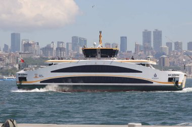 İstanbul, Türkiye - 23 Temmuz, 2016: İstanbul feribot, hindi