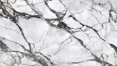 Siyah beyaz desenli mermer desen.