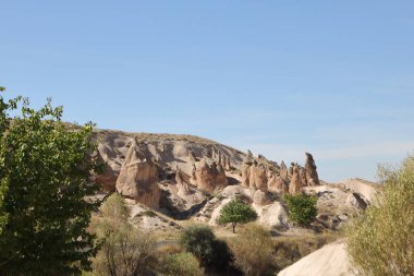 Dağları ve ağaçları olan güzel bir manzara.