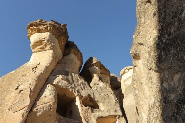 Doğanın güzel manzarası