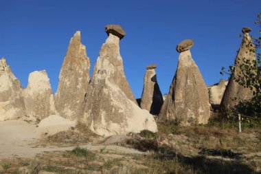 Doğanın güzel manzarası