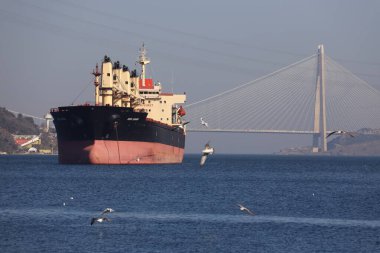 15-04-2025 İstanbul Türkiye: Boğazdan geçen büyük kargo gemisi