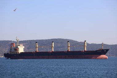 15-04-2025 İstanbul Türkiye: Boğaz Boğazı 'ndan geçen kargo gemisi