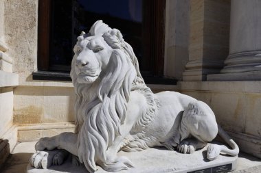 lion statue in front of the house of the palace of the royal palace in istanbul