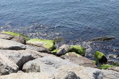 Taşlı ve dalgalı deniz suyu