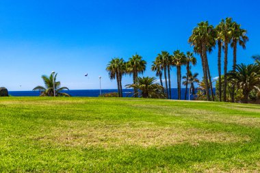Kayalık sahil manzarası ve Tenerife 'nin güney kıyısındaki popüler tatil beldesi Playa del Duque bölgesindeki ünlü Casa del Duque. Tenerife adası ve okyanus bir yaz günü manzarası. 