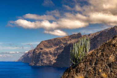 Stunning landscape of Los Gigantes cliffs on Tenerife, Canary Islands, with cactus growing on a rocky slope above the deep blue Atlantic Ocean under a partly cloudy sky. Travel, nature, and adventure concept.