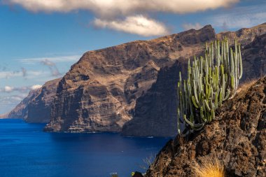 Stunning landscape of Los Gigantes cliffs on Tenerife, Canary Islands, with cactus growing on a rocky slope above the deep blue Atlantic Ocean under a partly cloudy sky. Travel, nature, and adventure concept.