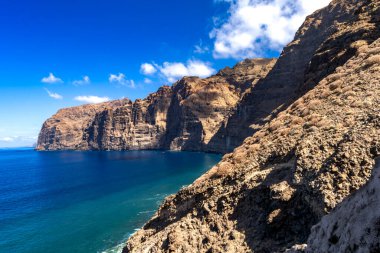 Stunning landscape of Los Gigantes cliffs on Tenerife, Canary Islands, with cactus growing on a rocky slope above the deep blue Atlantic Ocean under a partly cloudy sky. Travel, nature, and adventure concept.