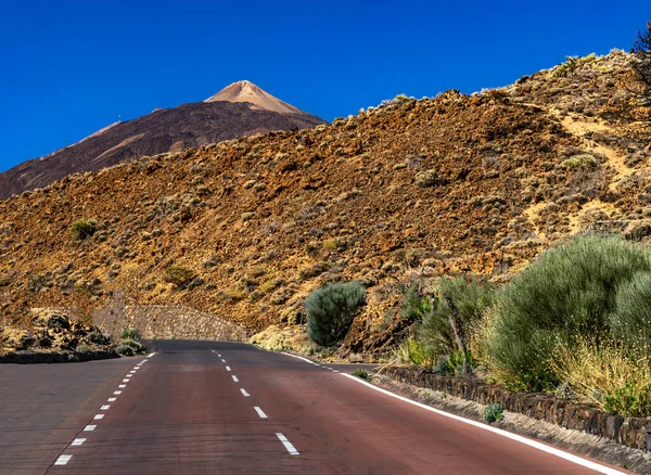 Beautiful view of Mount Teide volcano on Tenerife, Canary Islands, Spain. Majestic volcanic peak rising above green forests under a clear blue sky. Nature, travel, and adventure landscape concept.