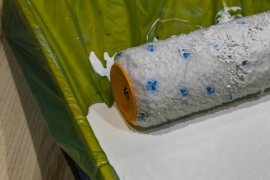 Yeşil plastik bir tepside duran beyaz boyaya batırılmış bir boya silindirini kapat. DIY ev yenileme, iç boyama araçları ve ekipman duvar dekorasyonu projesi için hazır.