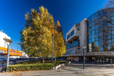 11 Kasım 2025, Czestochowa, Polonya Çekoslova 'daki belediye binası, belediye başkanının, belediye meclisinin ve Polonya konseyinin merkezi.