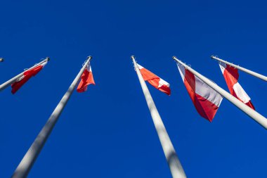 11 Kasım 2025, Czestochowa, Polonya Çekoslova 'daki belediye binası, belediye başkanının, belediye meclisinin ve Polonya konseyinin merkezi.