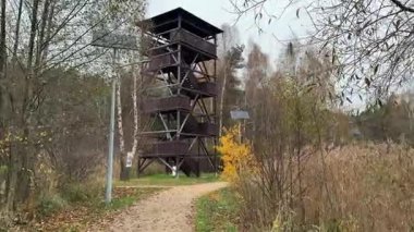 Blachownia 'daki göletin üzerinde yüksek ahşap bir gözlem kulesi, ahşap bir yapı, ormanın üzerinde bir izleme platformu.