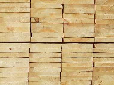 Ambar çam panoları