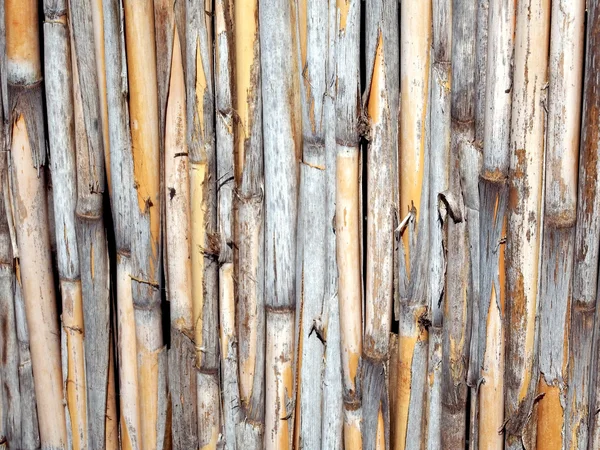 Bambu mayo çit
