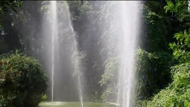 Die Springbrunnen im Park — Stockvideo