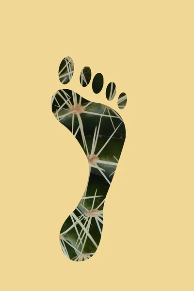 Someone stepped on a cactus — Stock Photo, Image