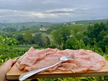 La Morra, Piedmont, İtalya 'daki üzüm bağları panoramasından önce Mortadella ile ahşap tahtayı tutan bir el. Yüksek kalite fotoğraf