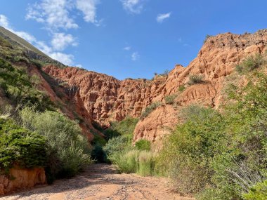 Kırgızistan 'daki Konorchek Kanyonu' nun nefes kesici panoramik manzarası. Yüksek kalite fotoğraf
