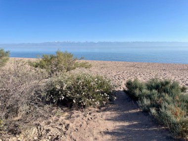 Issyk-Kul 'daki el değmemiş kumlu plajda arkada karla kaplı Tian Shan dağları var. Yüksek kalite fotoğraf