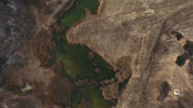 Yeşil Toksik Bataklık