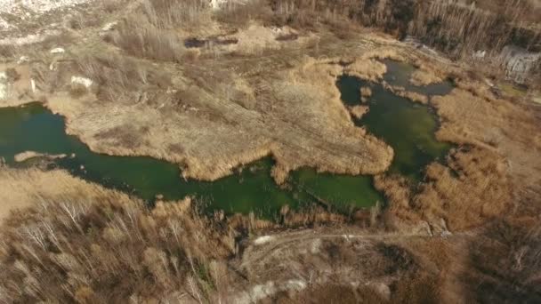 Marécage toxique vert 