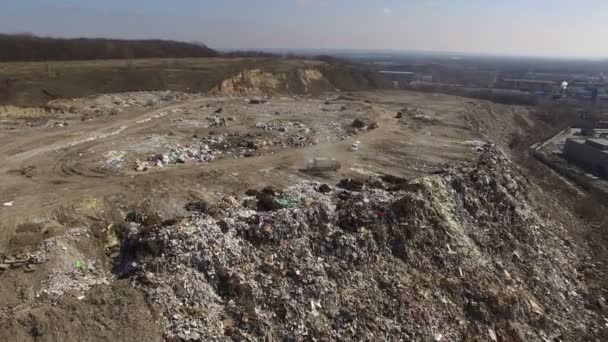 Mülldeponie im Wald — Stockvideo