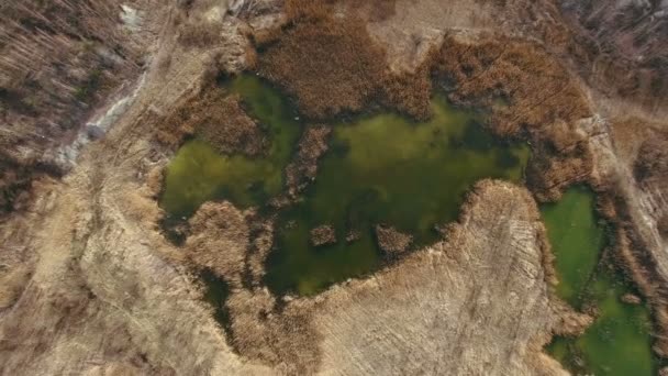 緑の有毒沼 — ストック動画