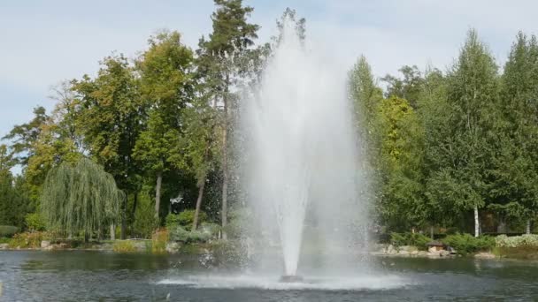 Fuente en un parque — Vídeo de stock