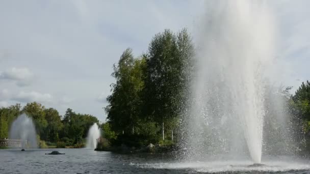 Fontänen i en park — Stockvideo