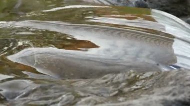 Bir taş hızlı şelale