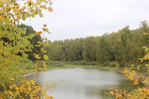 Sonbahar manzarası ve göl manzarası