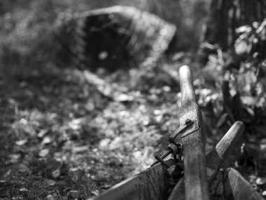 Yaz ormanında eski bir tekne