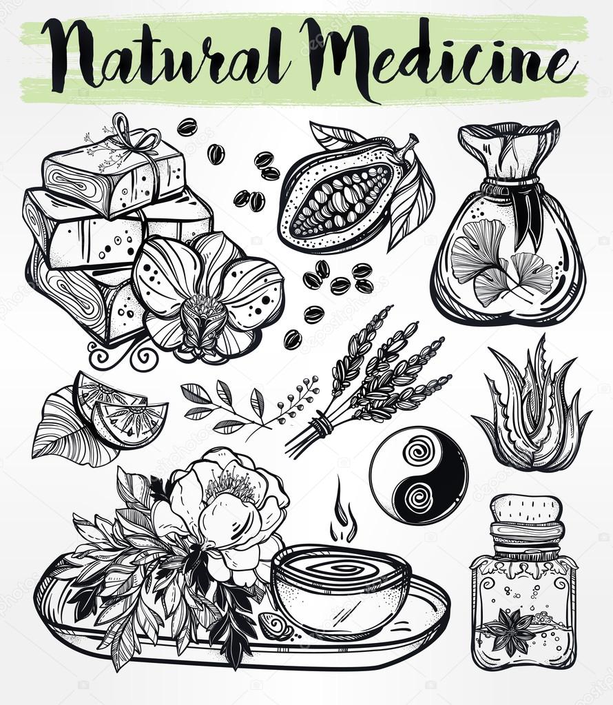 Hand drawn natural medicine herbs and healing set. — Stock Vector